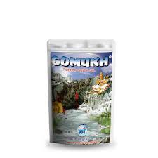 Gomukh Purest Ganga Jal - 220 ml | Pouch/ Gangajal Holy Water for Pooja
