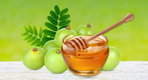 Amla Honey (Then Neli)