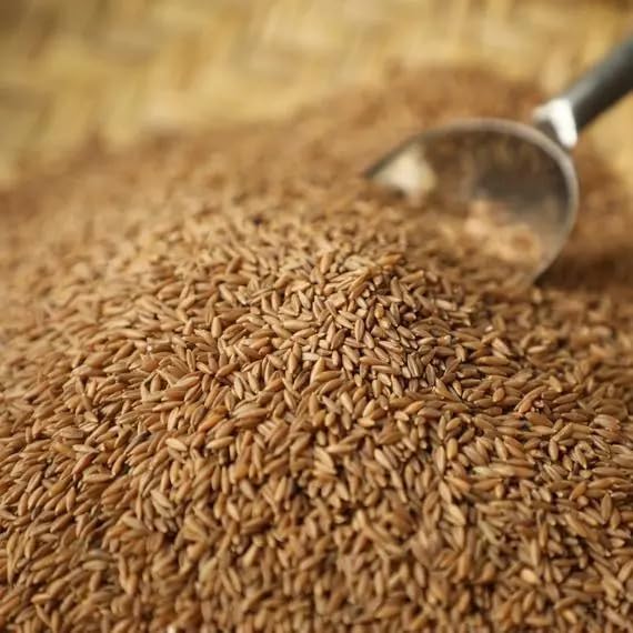 Bamboo Rice (250G) | Moongil Rice | Moongil Arisi | Wild Rice | Veduru Biyyam | Mulayari Rice | Bidirina Akki | Bambu Tandula (250G)