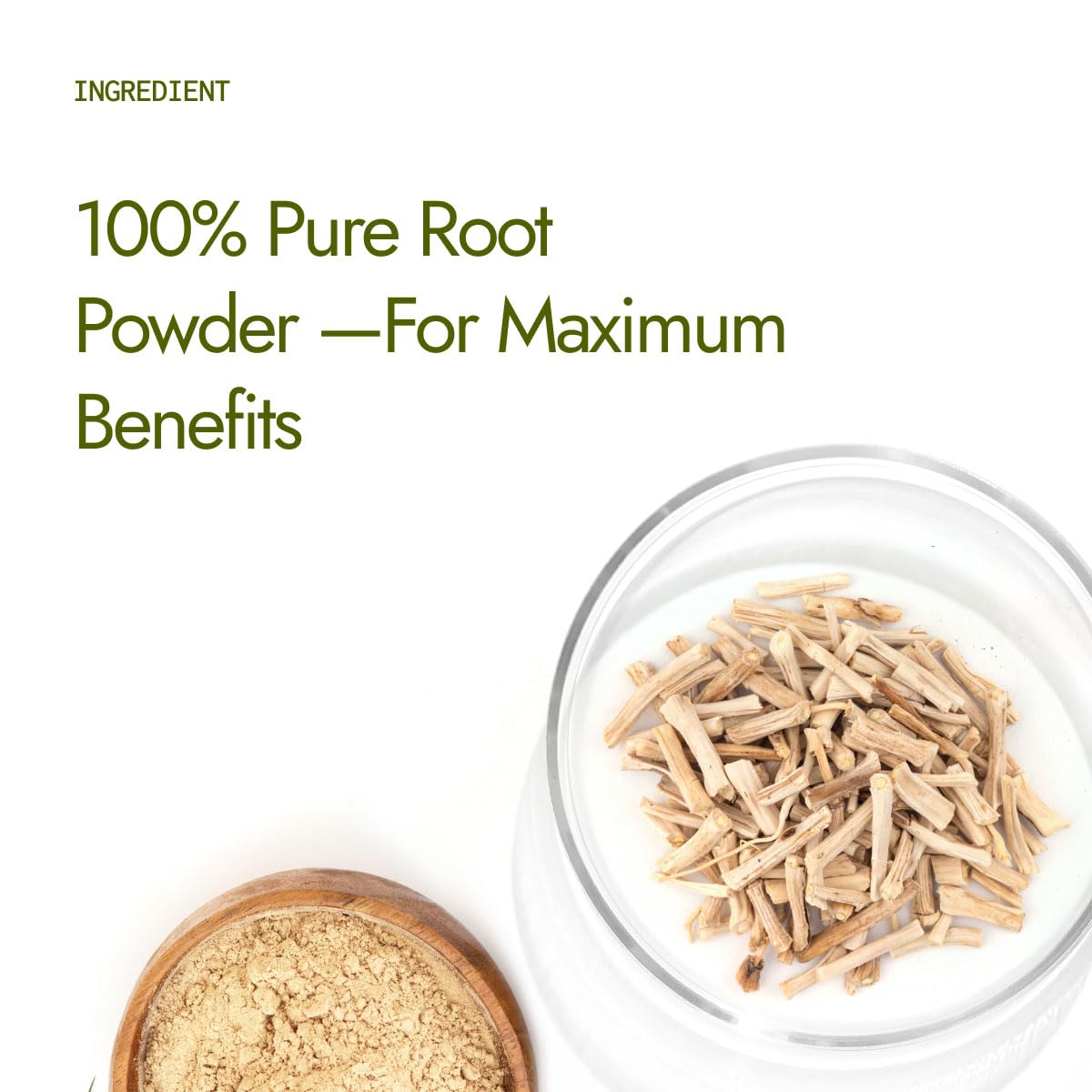 Shatavari Powder 100gms | Promotes Lactation Naturally | Helps Maintain Hormonal Balance | Non GMO Certified
