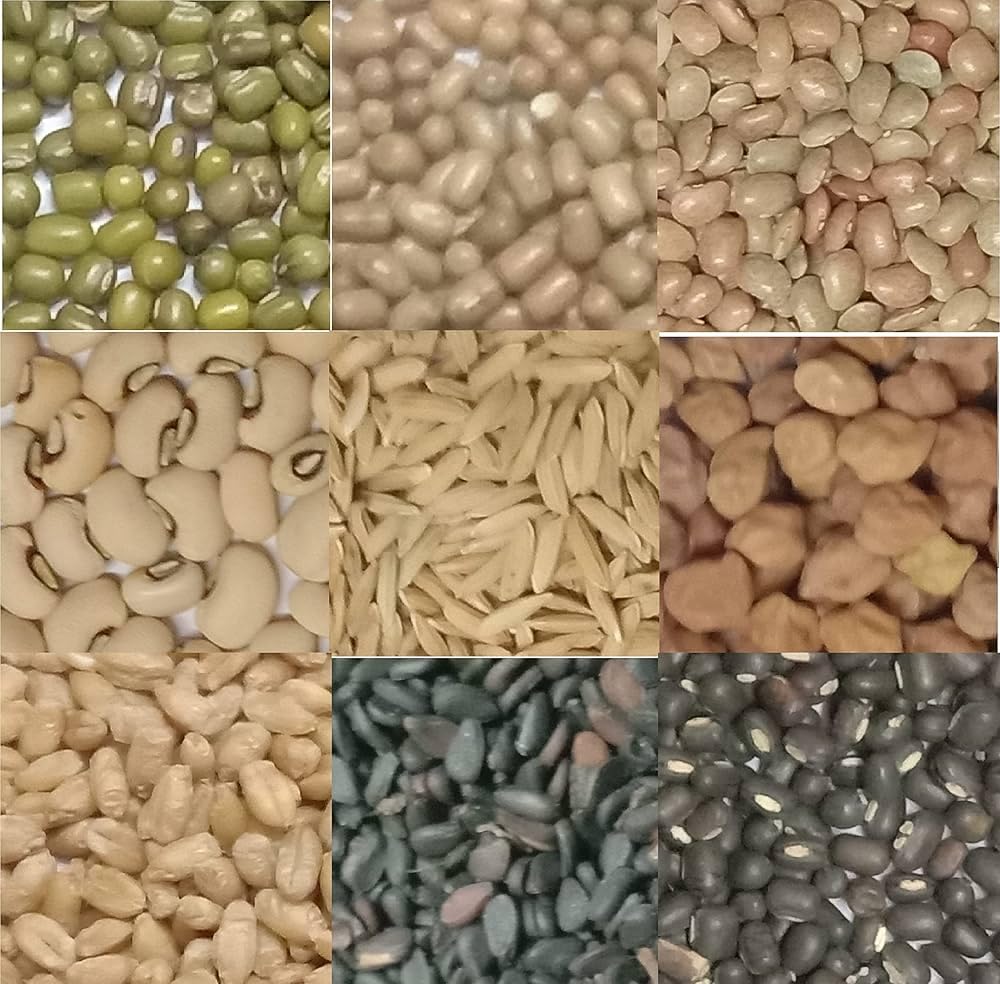 NAVADHANYA Set / 9 GRAINS SET