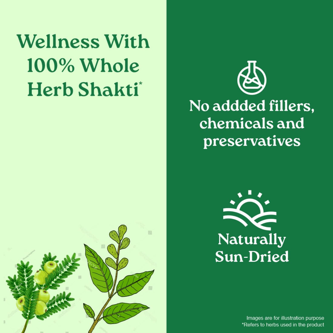 Organic India Triphala Powder - 100g, Supports Immune System, Colon & Digestion, For Balanced Bowel & Gut Health, Contains Bioactives and Antioxidants, GMP & NPOP Certified Organic