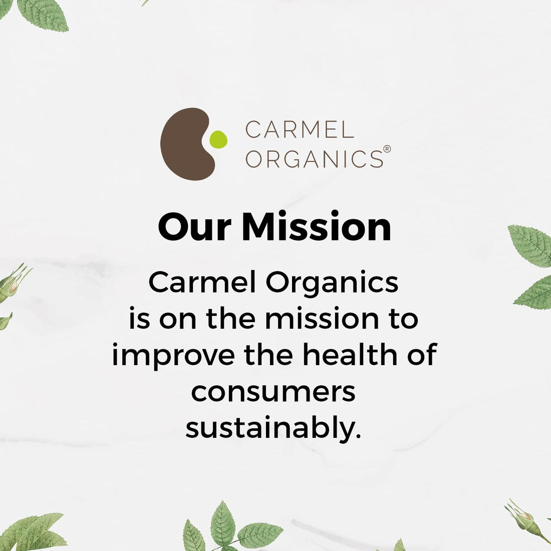 Ashwagandha Root Powder (227 Grams)|Jaivik Bharat Certified|Pure|Natural|Helps Fight Anxiety & Stress|Ashwagandha Podi/Amukkara Kizhangu/Asvagandha Churna