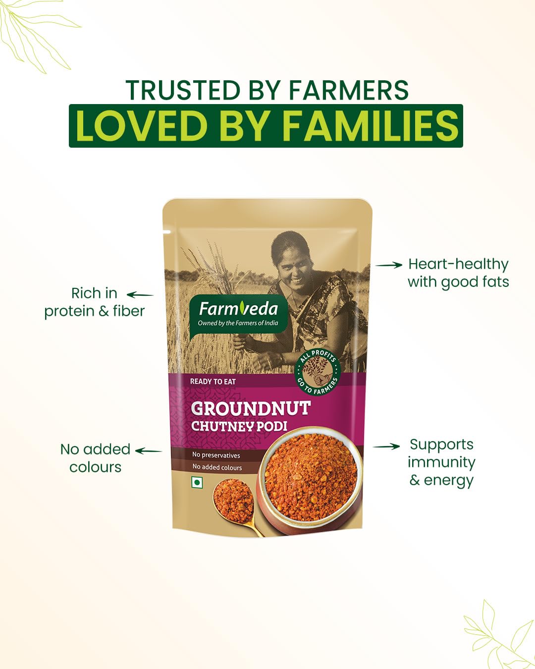 Groundnut Chutney Podi | Spicy Peanut Powder for Idli, Dosa, Rice | Ready to Eat | 100g (Pack of 2)
