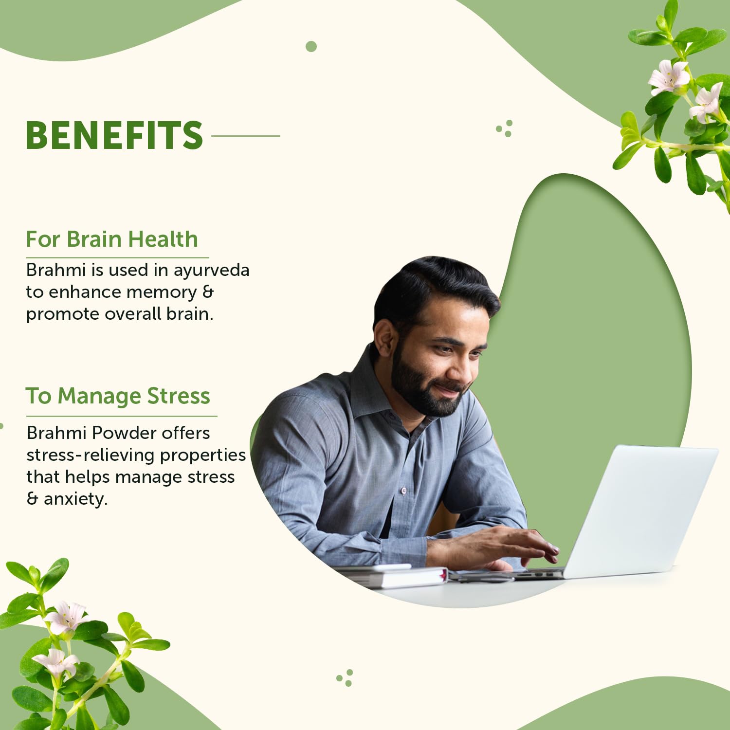 Brahmi Powder - 100g For Men & Women | Ayurvedic Care To Manage Stress & Boost Brain Health | Rich in Antioxident | 100% Pure & Natural | No Added Preservatives