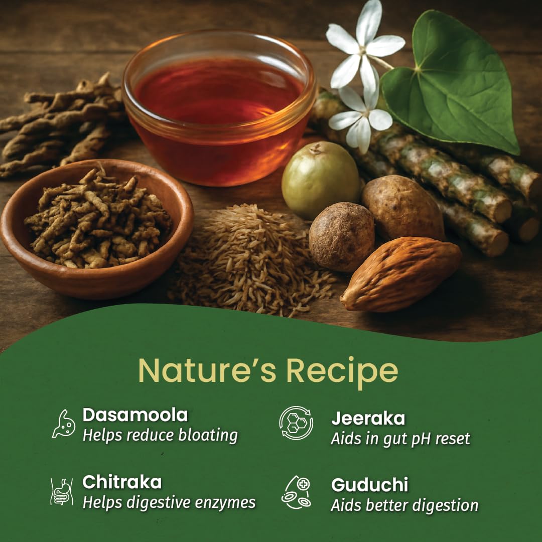 Kerala Ayurveda Dasamoolarishta | Ayurvedic Digestive & Wellness Tonic | Gut cleanse detox | Anti gas and bloating | With 10 Herbal Roots | 450 ml