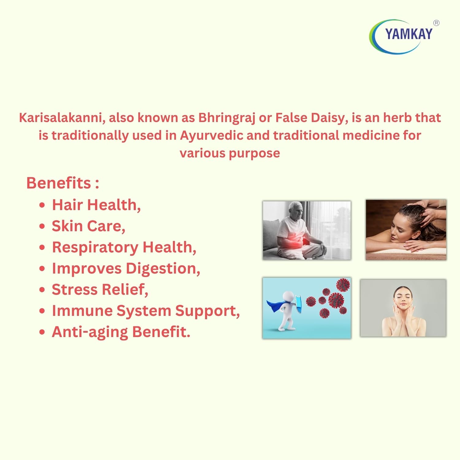 Manjal Karisalankanni | False Daisy powder | Yellow Powder | Bhringraj Powder | Kayonni | Eclipta Alba | Yerba De Tago | Guntagalagara Aaku | 100 GM