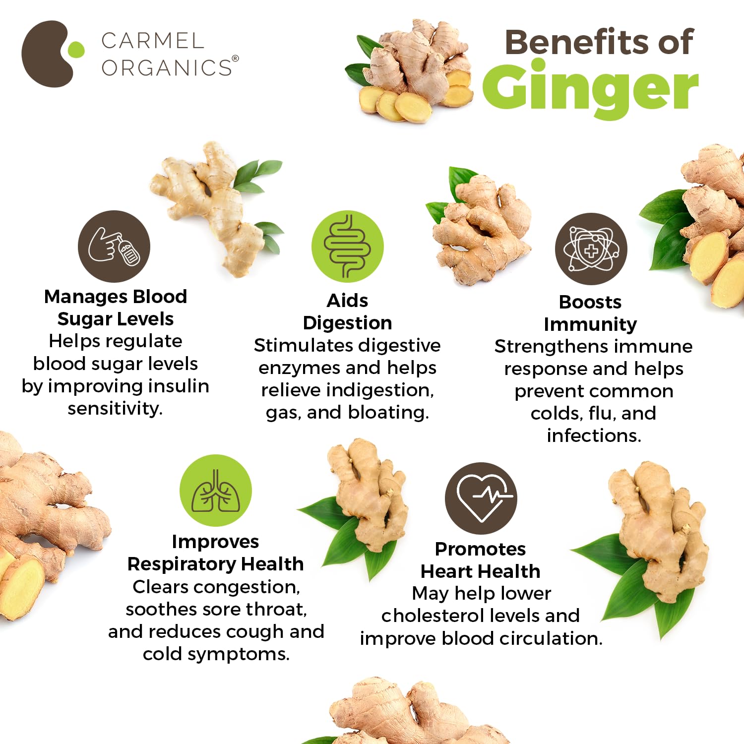 Ginger Dried Root Powder (340 Grams)| Zingiber officinale | NON-GMO | No Added Preservatives | Sukku Podi | Dry Sonth/Adrak Powder for Cooking and Health