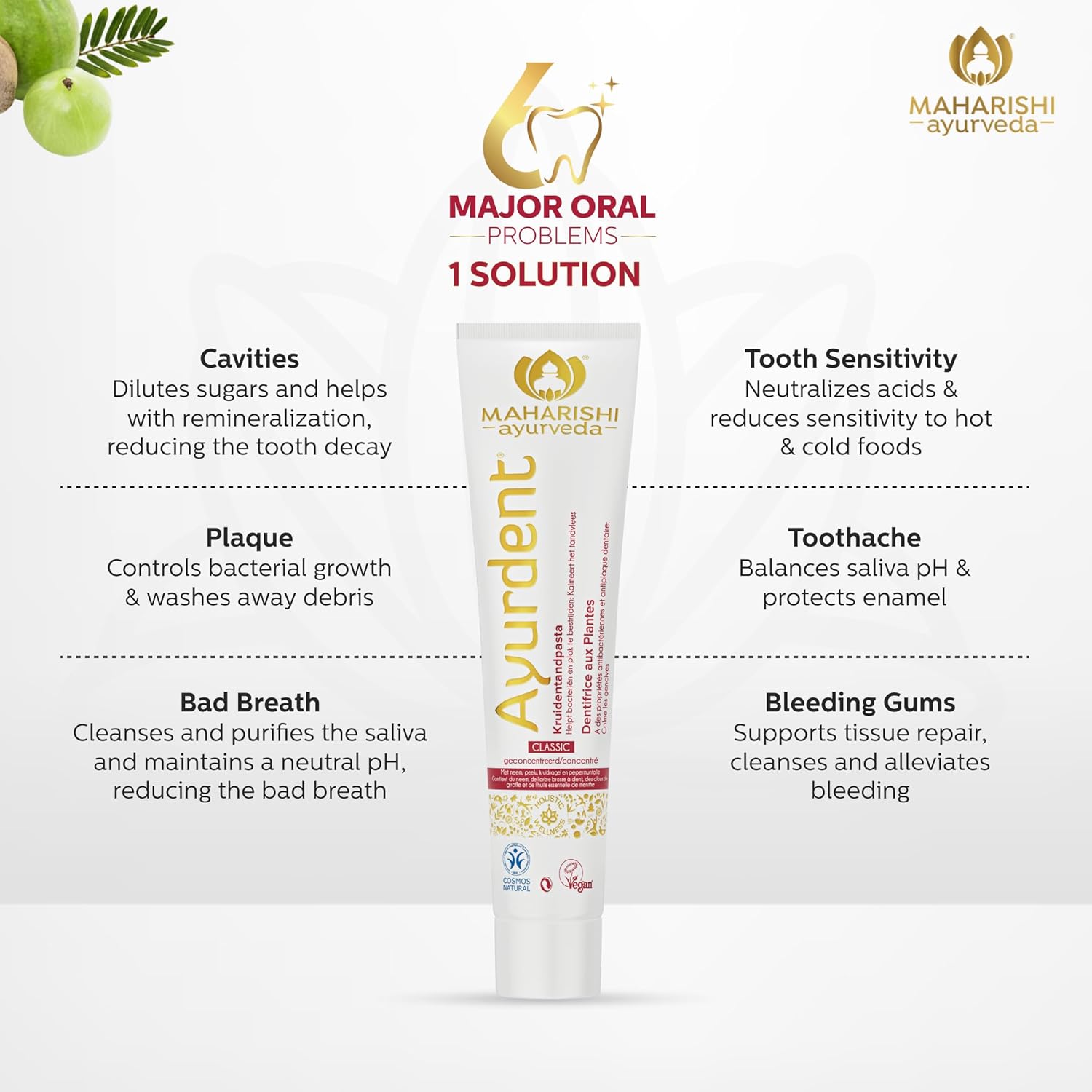 Ayurdent Classic Toothpaste|Unique Saliva Balancing Formula|For Toothache,Bleeding Gums,Sensitivity,Cavities,Plaque & Bad breath|Non Foaming,SLS & Fluoride Free|Pack of 1