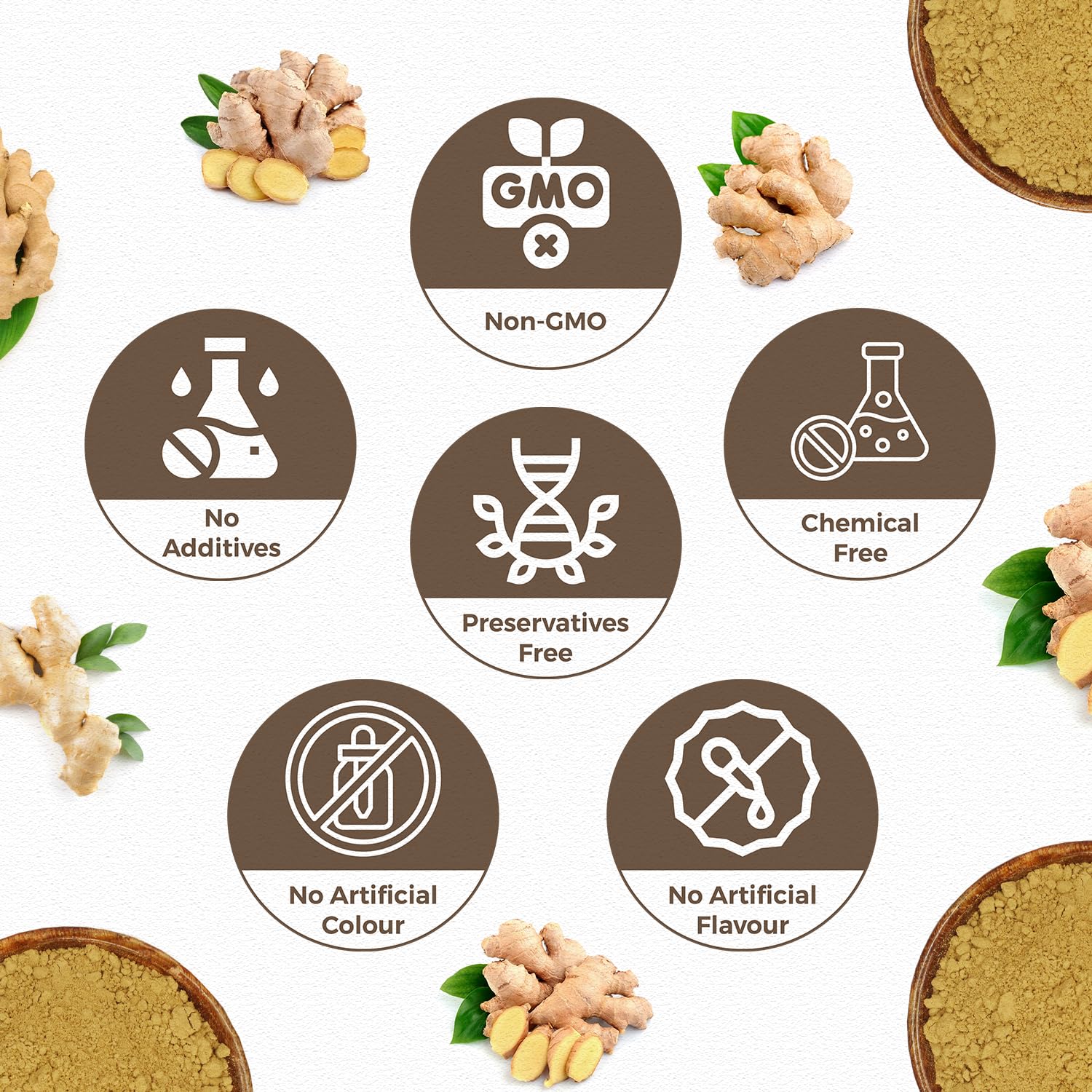 Ginger Dried Root Powder (340 Grams)| Zingiber officinale | NON-GMO | No Added Preservatives | Sukku Podi | Dry Sonth/Adrak Powder for Cooking and Health