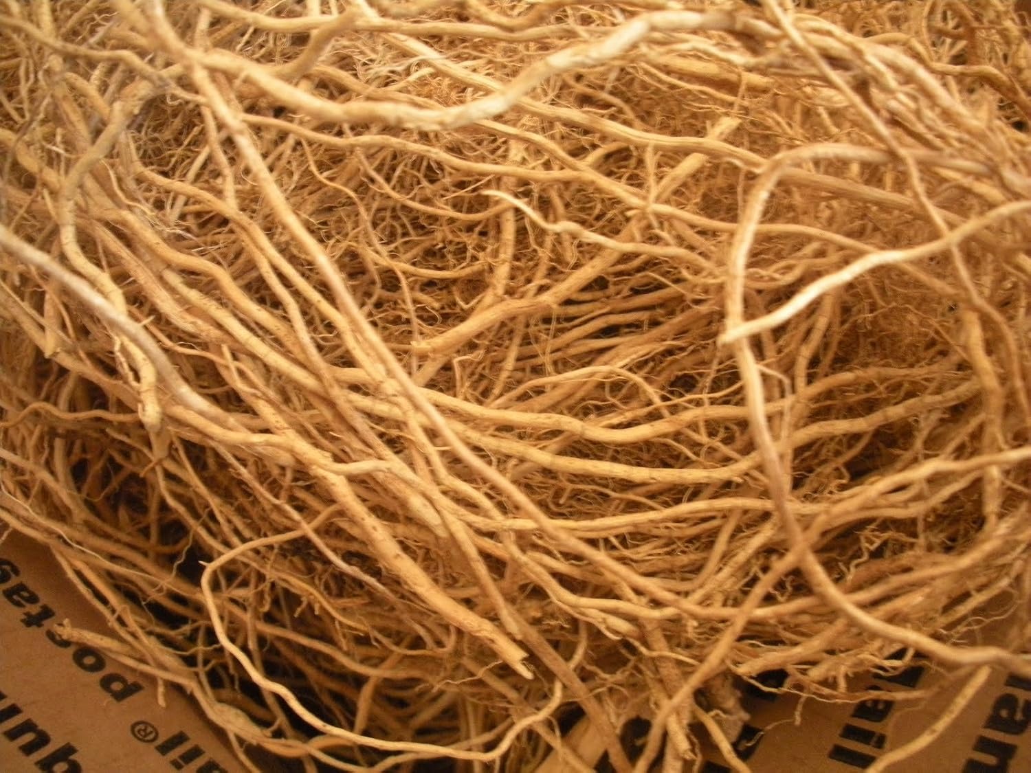 Vetiver Root Powder 100 GMS | Khus Khus | Vetiveria Zizanioides for Skin, Hair, and Traditional Herbal Remedies