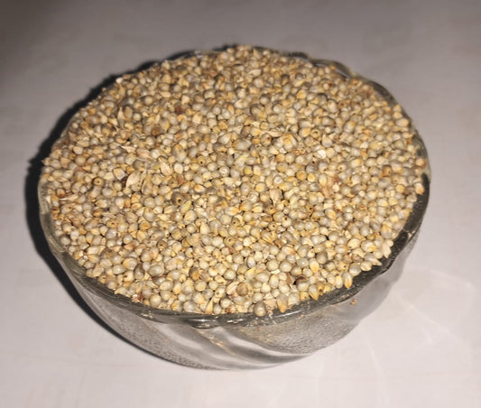 Pearl Millet