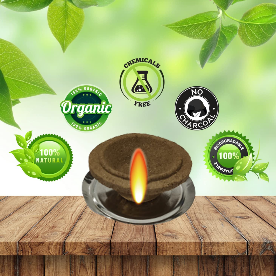 Panchagavya Cow Dung Diya Vilakku Deepam (24 Pcs) - Made of 5 Natural Core Elements - Cow Dung, Gomutra, Milk, Curd and Ghee - for Festivals, Diwali and Daily Puja