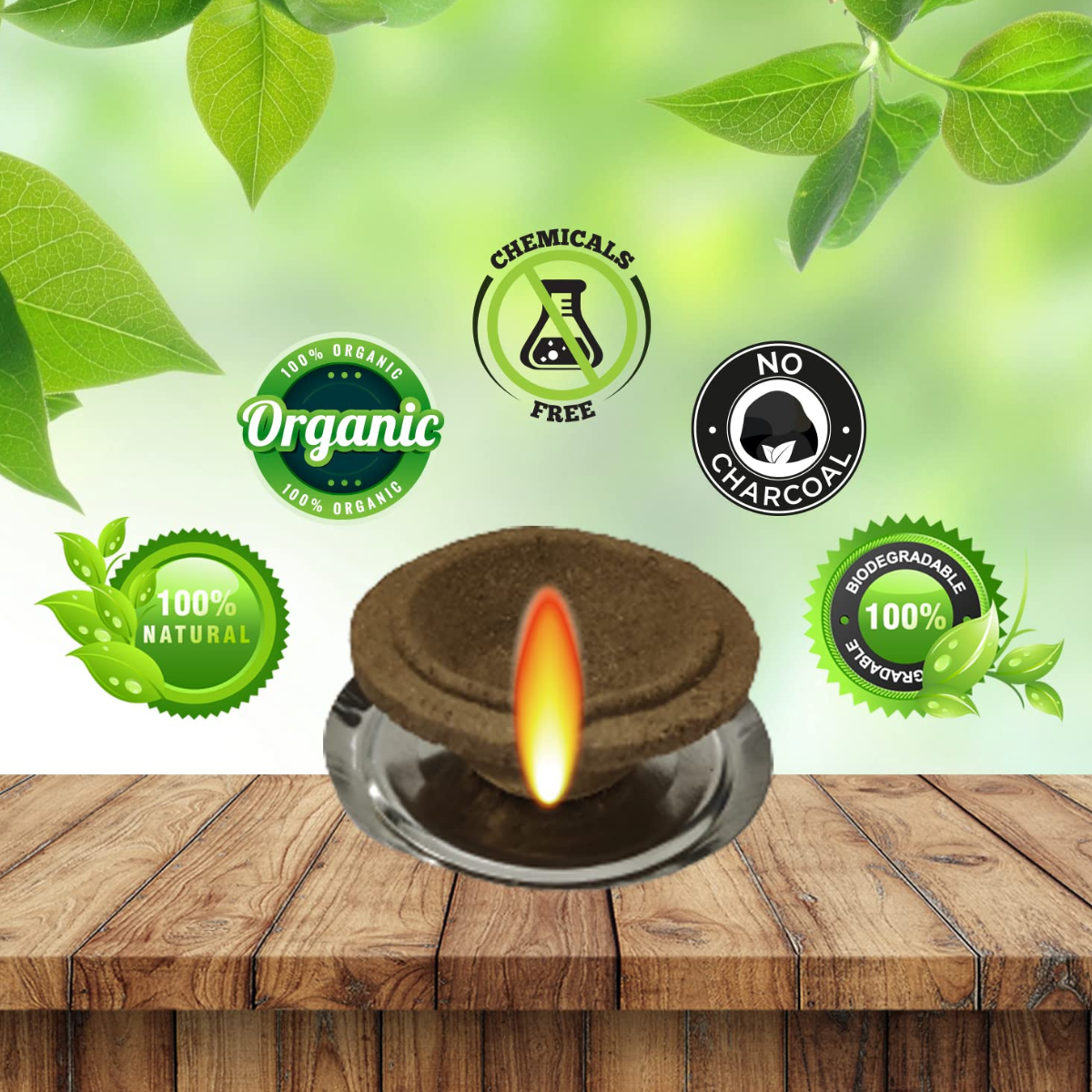Panchagavya Cow Dung Diya Vilakku Deepam (24 Pcs) - Made of 5 Natural Core Elements - Cow Dung, Gomutra, Milk, Curd and Ghee - for Festivals, Diwali and Daily Puja