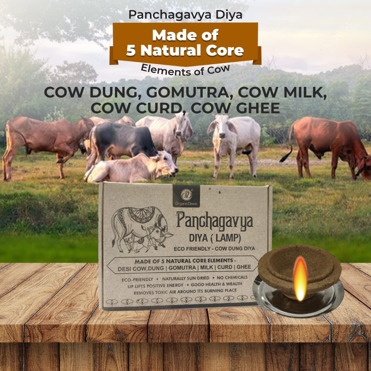 Panchagavya Cow Dung Diya Vilakku Deepam (24 Pcs) - Made of 5 Natural Core Elements - Cow Dung, Gomutra, Milk, Curd and Ghee - for Festivals, Diwali and Daily Puja