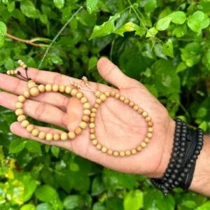 White Sandalwood Bracelet 6mm
