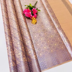 Fancy Tissue Sarees