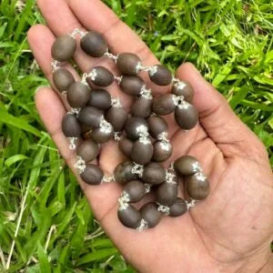 Thamarai Mala Silver