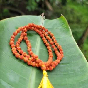 Rudraksha Mala 6mm- 108 beads