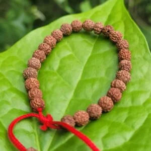 Rudraksha Bracelet