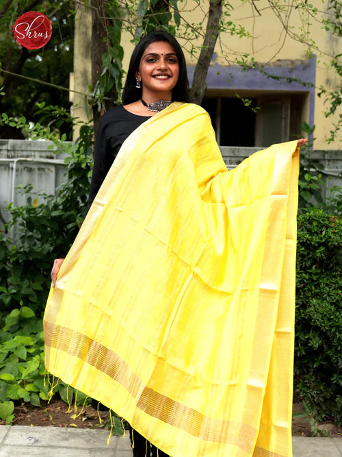 Semi Organza Dupatta