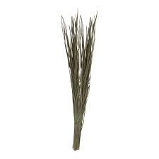 Giri Darbai Grass | Darba Grass/ Tharbai Pul/ Kusha Grass for Pooja