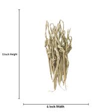 Giri Two Pul Pavithiram| 2 Pul Pavitram / Darbha Grass for Pooja, Rituals, Homam