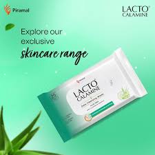 Lacto Calamine Daily Cleansing Face Wipes (1 pack (25 pulls))
