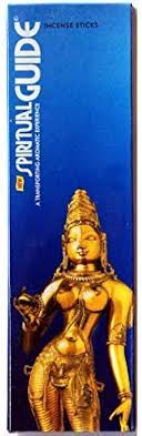 Padmini Spiritual Guide Incense 50Pcs