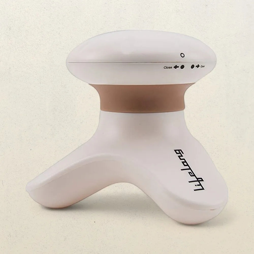 Lifelong Llm09 Mini Head And Body Massager, Beige And Brown
