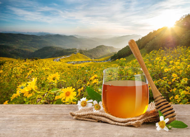 Multifloral honey (pala malar then)